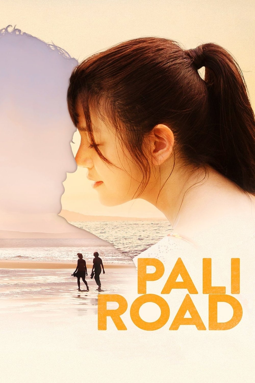 Постер Pali Road